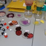 Drying pigments after washing